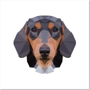 Daschund Posters and Art